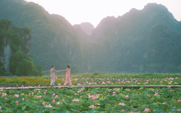 NINH BINH 2D1N: HOA LU – TAM COC – MUA CAVE - BAI DINH – TRANG AN