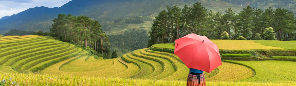 Sapa Tours